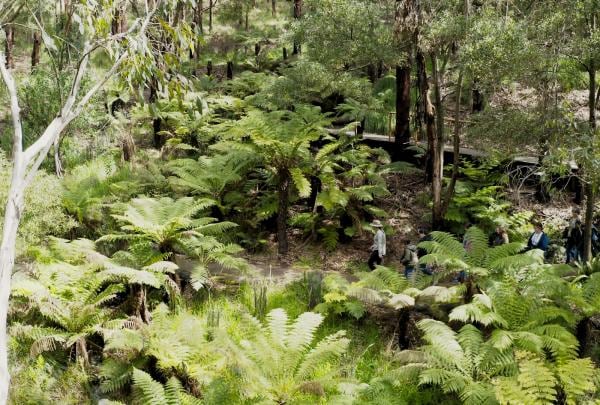 Dès maintenant, vous pouvez soutenir Lizzie dans ses projets de restauration de l'habitat naturel © Wildlife Wonders
