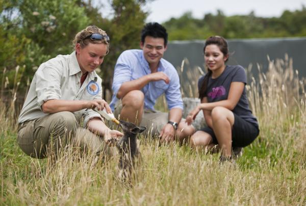 Au Great Ocean Ecolodge, vous pourrez rencontrer des animaux sauvages de très près © Mark Watson Photography