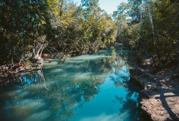 Cardwell SPA Pool, Queensland © Bruno Maltor