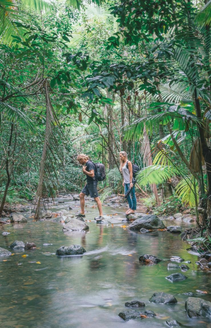  Jeune couple en randonnée dans la forêt tropicale de Daintree © Tourism Tropical North Queensland
