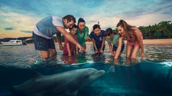 Nourrir les dauphins sauvages au Tangalooma Island Resort, Moreton Island, QLD © Brisbane Marketing