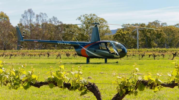 Grampians Helicopter Tours à Best's Wines, Région des Grampians, VIC © Justine Hide