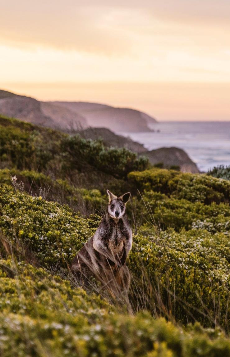 Great Ocean Road, Victoria © Belinda VanZanen