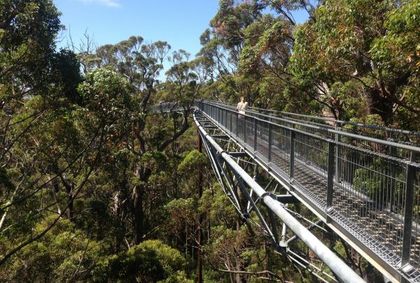 Valley of the Giants Tree Top Walk, Walpole-Nornalup National Park, Australie Occidentale © Tourism Australia