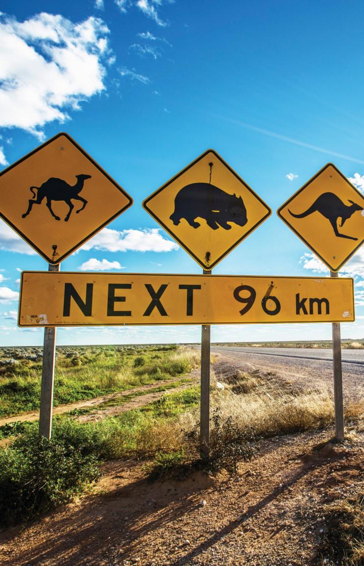 Panneau de signalisation indiquant la présence d'animaux sauvages, notamment de kangourous et de wombats, le long de l'Eyre Highway, Nullarbor, Australie du Sud © Greg Snell, Tourism Australia