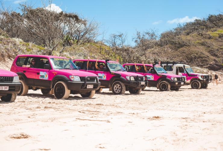 Fraser Dingo 4WD Hire, K'gari, QLD © Fraser Dingo 4WD Hire