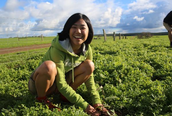 Travail agricole, Kangaroo Island, SA © Tourism Australia