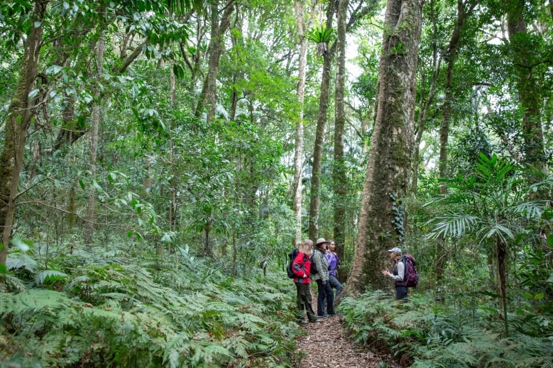 Spicers Scenic Rim Trail, Scenic Rim, Queensland © Spicers Retreats