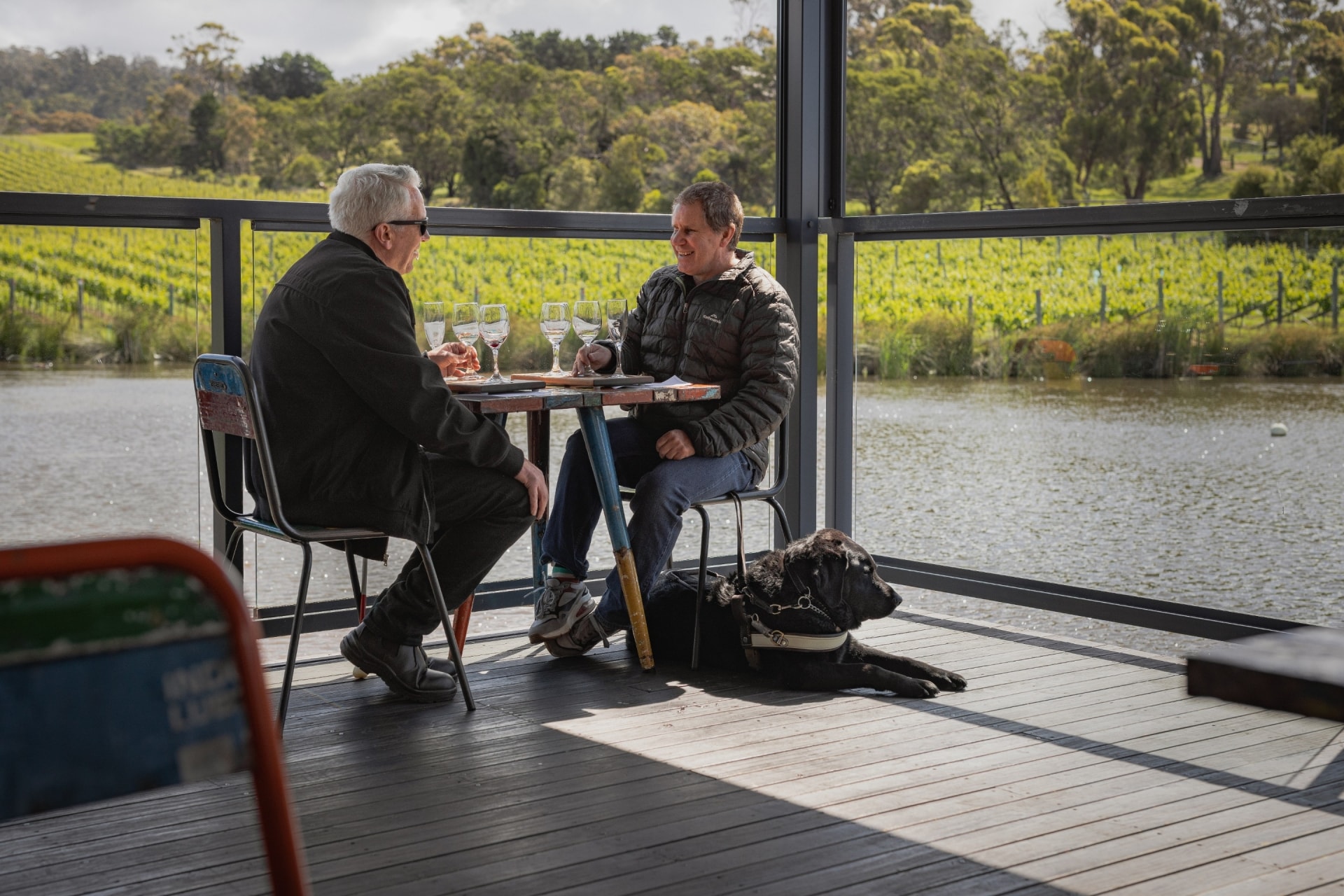 Dua pria duduk di kebun anggur dengan minuman anggur dan anjing pemandu, Puddleduck Vineyard, Richmond, Tasmania © Deanna Bond