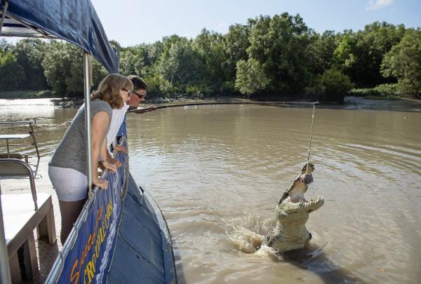 Buaya melompat di Adelaide River © Shaana McNaught