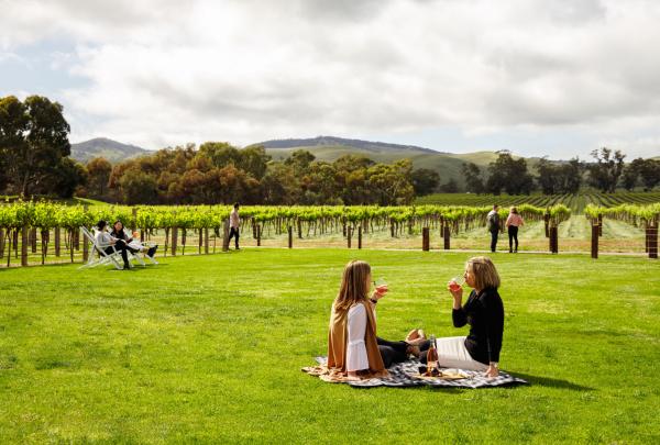 Piknik di Jacob's Creek di Barossa Valley © Jacob's Creek