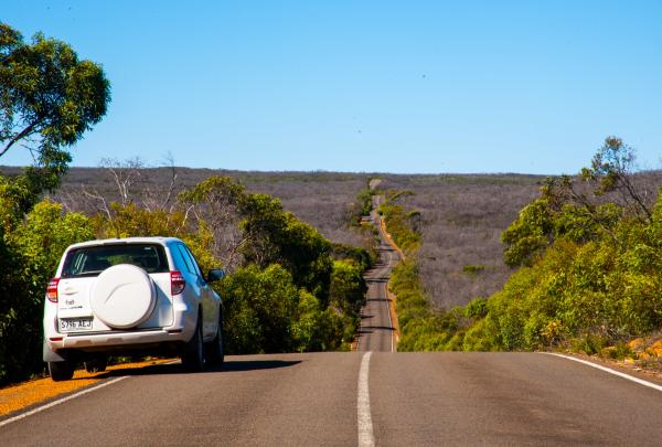 Flinders Chase National Park, Kangaroo Island, SA © Rishaad Saam Mehta