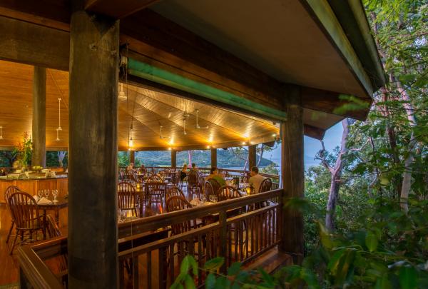 Thala Beach Nature Reserve, Port Douglas, QLD © Thala Beach Nature Reserve