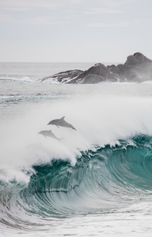 Cape Naturaliste, di dekat Dunsborough, WA © Tourism Western Australia