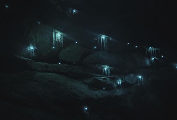 Blue Mountains Glow Worm Tours, Glow Worm Canyon, Blue Mountains, NSW © Destination NSW