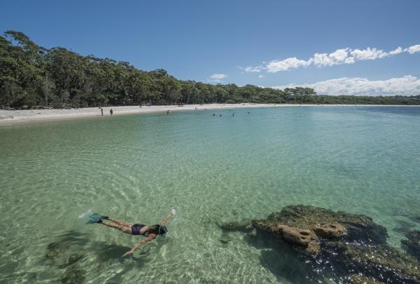 Bersnorkel, Jervis Bay, NSW © Destination NSW