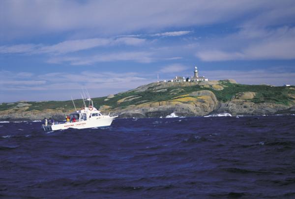Chartered fishing boat in Montague Island Nature Reserve, South Coast, NSW © Destination NSW
