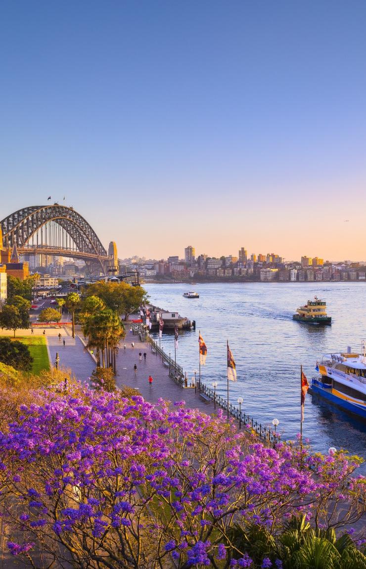 Jacarandas dan Sydney Harbour saat matahari terbenam, Sydney, NSW © Destination NSW