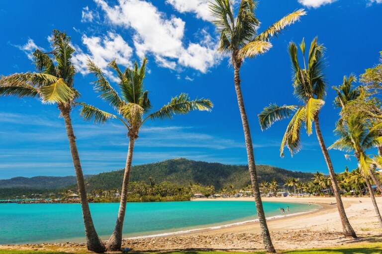 Airlie Beach, Whitsunday Coast, Great Barrier Reef, QLD © Jules Ingall