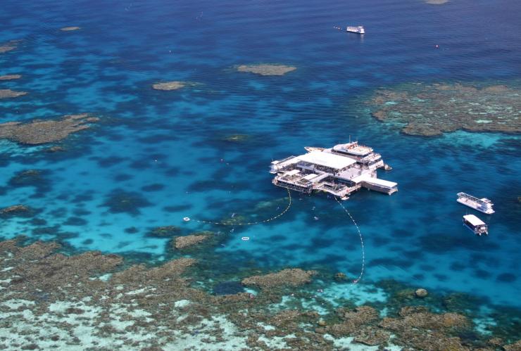 Pemandangan dari udara Quicksilver Pontoon di atas Agincourt Reef, Great Barrier Reef, Queensland © Tourism Port Douglas and Daintree