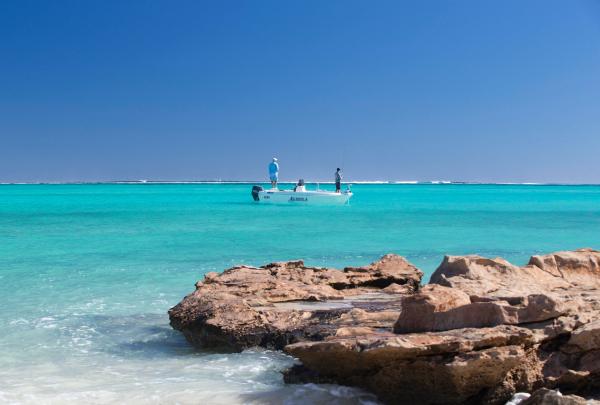 Memancing dengan Umpan Buatan di Ningaloo, Exmouth, WA © True Blue Bonefish