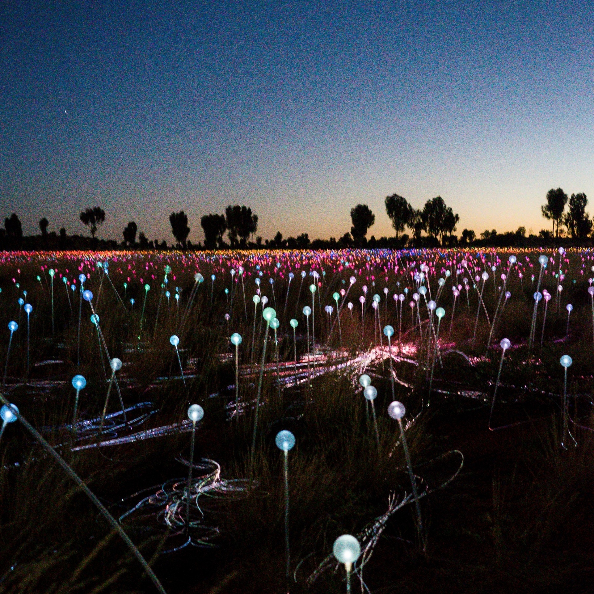 Instalasi Field of Light dekat Uluru © Stephen Parry