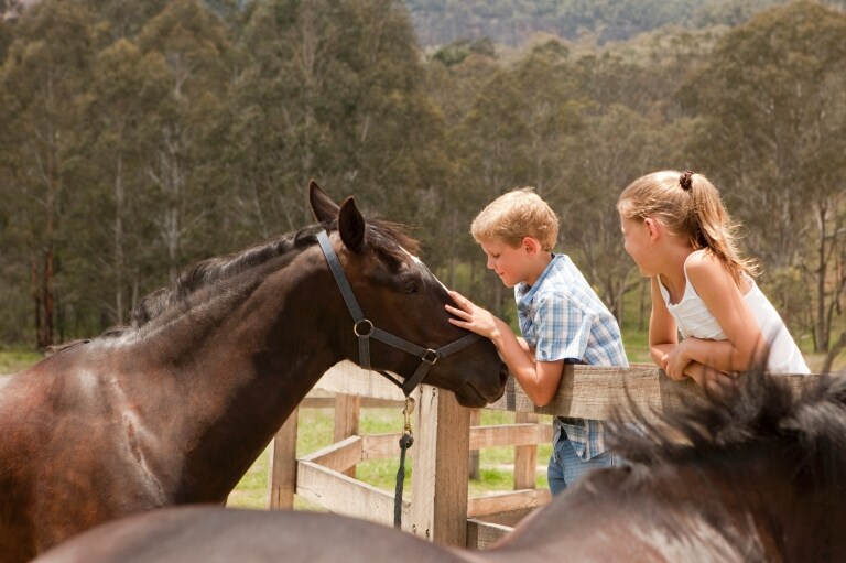 Anak-anak bersama seekor kuda di Emirates One&Only Wolgan Valley © Luxury Lodges of Australia