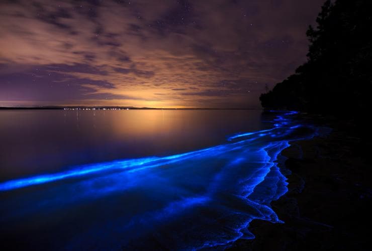 Bioluminescence, Jervis Bay, NSW © Maree Clout, Destination NSW