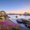 Jacarandas dan Sydney Harbour saat matahari terbenam, Sydney, NSW © Destination NSW