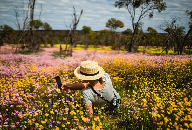Seorang perempuan duduk di padang bunga liar di Coalseam Conservation Park © Tourism Western Australia