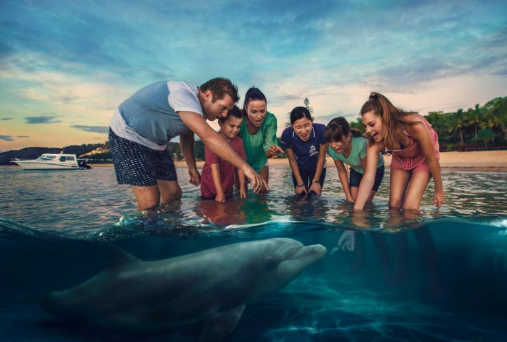 Wild dolphin feeding at Tangalooma Island Resort, Moreton Island, QLD © Brisbane Marketing