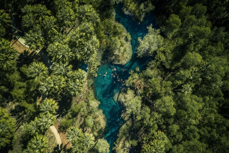 Pemandangan udara sekelompok orang yang berenang di perairan biru berkilauan di Bitter Springs di tepi kanopi pepohonan palem, Mataranka, Northern Territory © Tourism NT/Jason Charles Hill