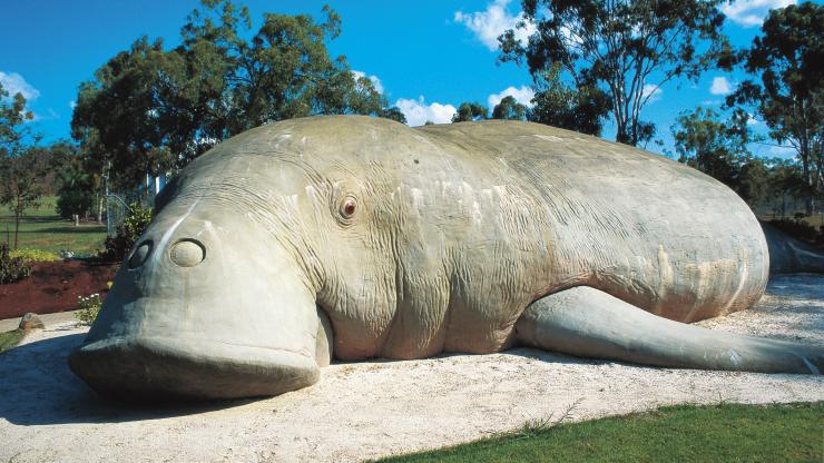 Pusat Budaya Dreamtime, Rockhampton, QLD © Tourism and Events Queensland