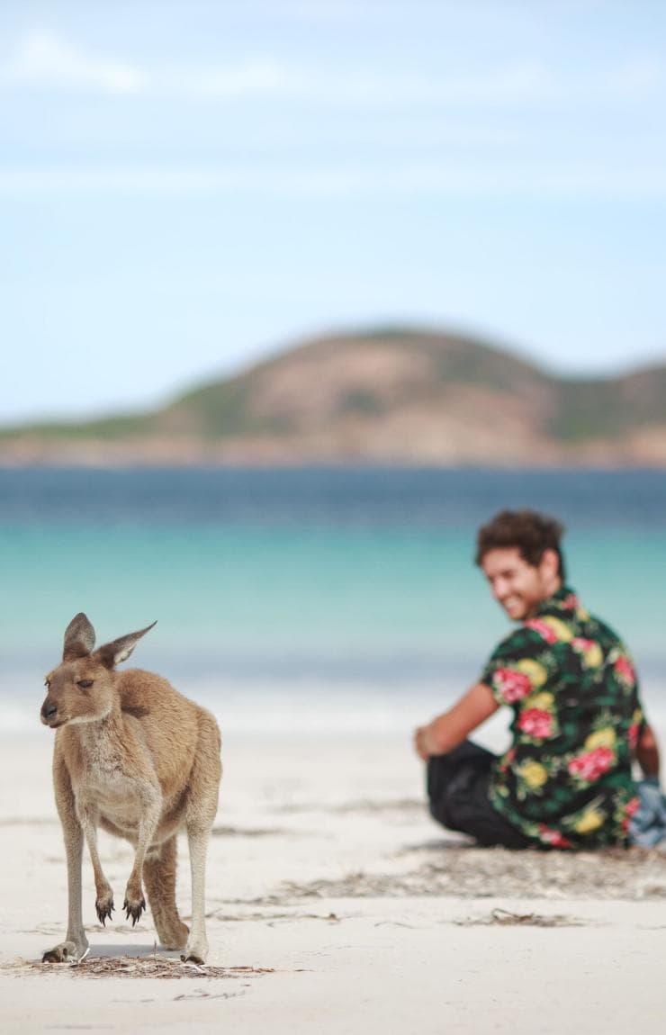 Pasangan sedang mengagumi seekor kanguru di pantai di Lucky Bay, Cape Le Grand National Park, Western Australia © Tourism Australia