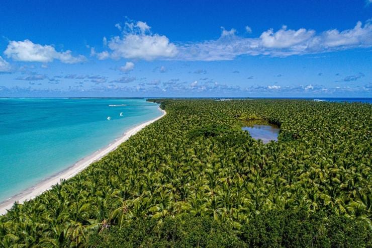 Pemandangan dari udara hutan hijau rimbun yang berbatasan dengan samudra di West Island, Cocos (Keeling) Islands © Cocos Keeling Islands Tourism Association Pemandangan dari udara hutan hijau rimbun yang berbatasan dengan samudra di West Island, Cocos (Keeling) Islands © Cocos Keeling Islands Tourism Association