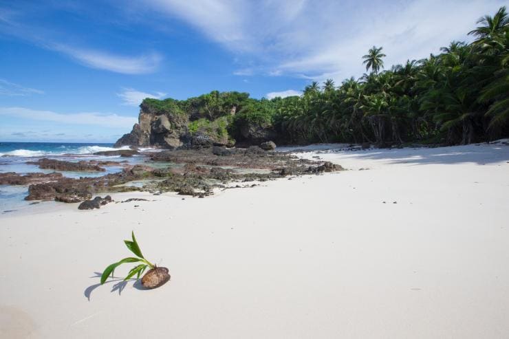 Pantai berpasir putih yang dibatasi oleh pepohonan palem hijau, Dolly Beach, Christmas Island © Christmas Island Tourism Association Pantai berpasir putih yang dibatasi oleh pepohonan palem hijau, Dolly Beach, Christmas Island © Christmas Island Tourism Association