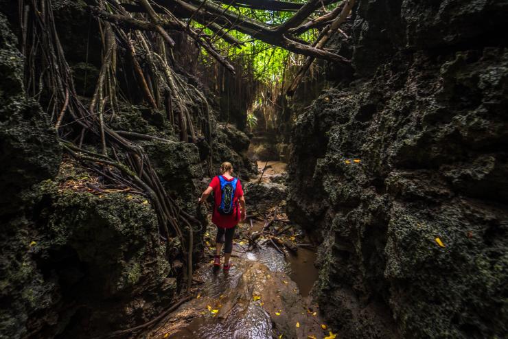Seorang wanita sedang menjelajah melintasi ngarai sempit di The Dales, Christmas Island © Christmas Island Tourism Association Seorang wanita sedang menjelajah melintasi ngarai sempit di The Dales, Christmas Island © Christmas Island Tourism Association