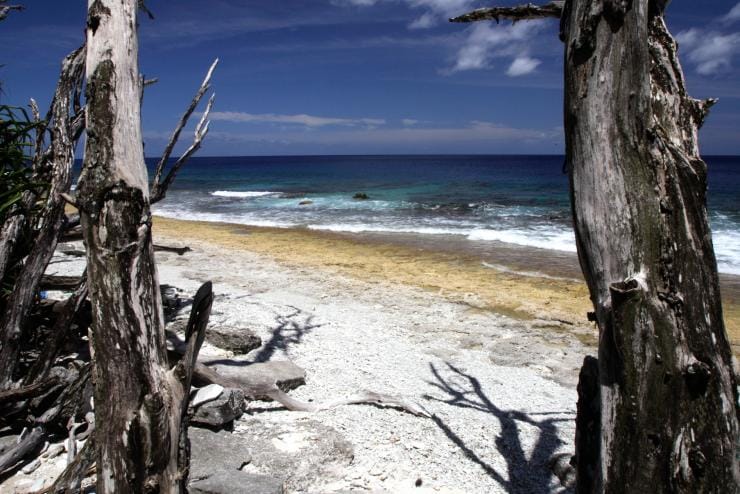 Pemandangan hamparan samudra dari West White Beach, Christmas Island © Erica Harrison, Christmas Island Tourism Pemandangan hamparan samudra dari West White Beach, Christmas Island © Erica Harrison, Christmas Island Tourism