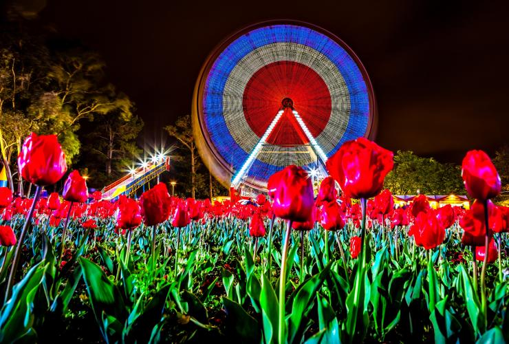 Floriade, Canberra, Australian Capital Territory © Russell Charters, VisitCanberra