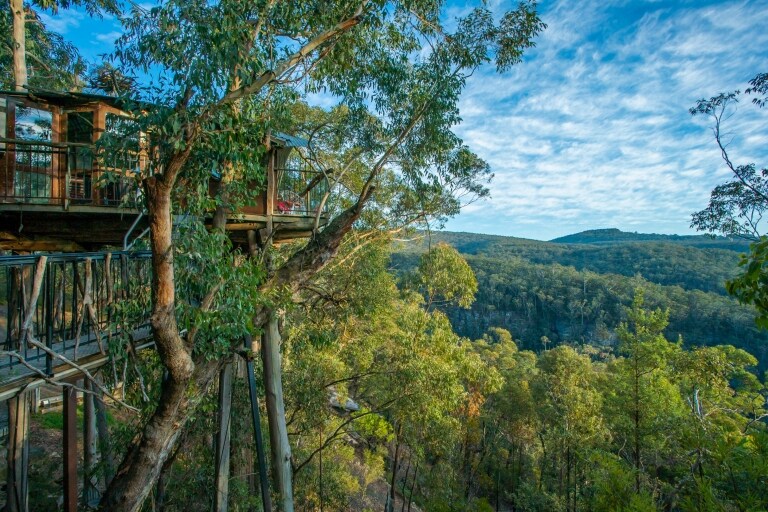 Wollemi Forest, Blue Mountains, New South Wales © Wollemi Cabins