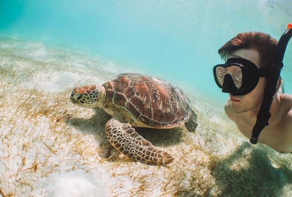 Snorkeling, Lizard Island, Queensland © Tourism Australia