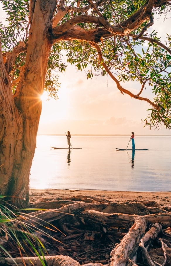 Paddleboard a Noosa, Queensland © Tourism and Events Queensland