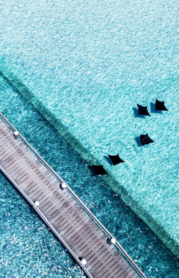 Vista dall'alto, Pontile, Heron Island, Queensland © James Vodicka