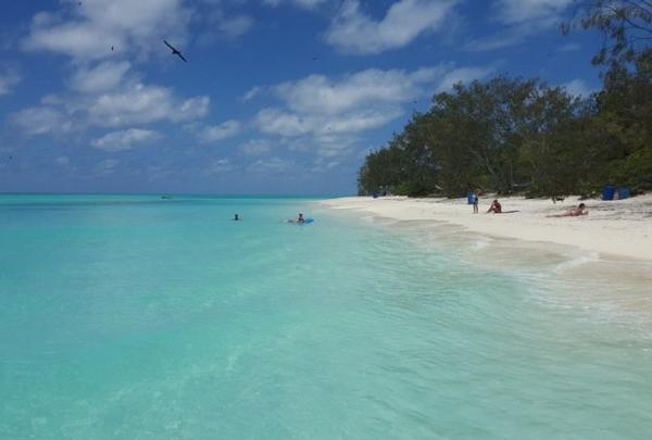 North West Island, Grande Barriera Corallina, Queensland © Tourism and Events Queensland