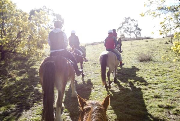 Burnelee Excursions, Canberra, Australian Capital Territory © VisitCanberra