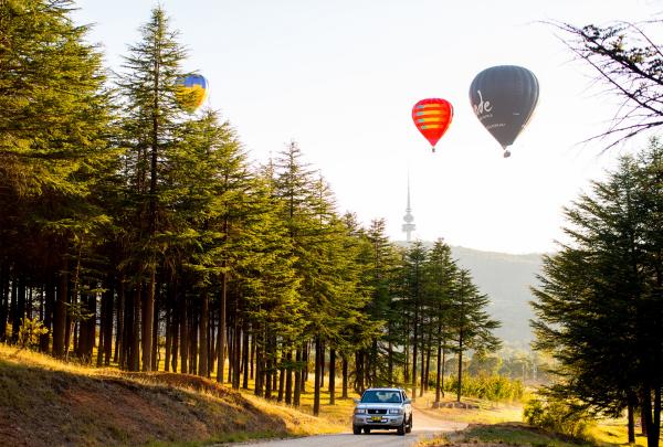 National Arboretum, Canberra, Australian Capital Territory © VisitCanberra