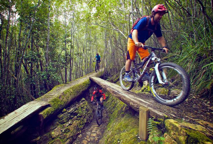  North-South Track, Mount Wellington, Tasmania © Tourism Tasmania & Supplied Courtesy of Flow Mountain Bike