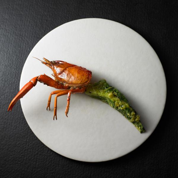 Gambero alla griglia con lime del deserto all'Attica, Melbourne, Victoria © Attica