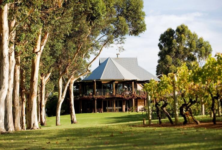 Azienda vinicola Vasse Felix, regione di Margaret River, Western Australia © Vasse Felix
