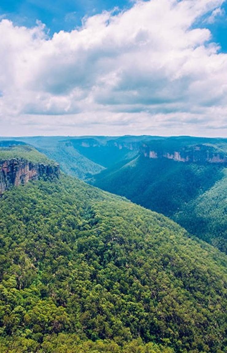 Blue Mountains, New South Wales © Destination NSW